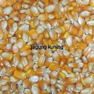 Termurah jagung pipil kering 50 gram Diskon