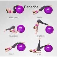 Ready Gym Ball 75 cm Anti Burst Yoga Ball Fitness Ball