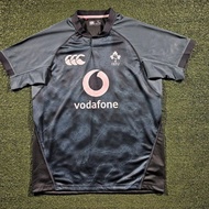 Genuine CCC Mens Ireland Training Pro Jersey Green 2025/26