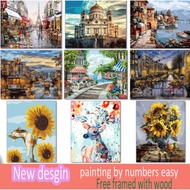 【LOCAL 】New DIY Art Painting by Numbers 40x50cm  with free wood framed  Quality Oil Canvas Painting 