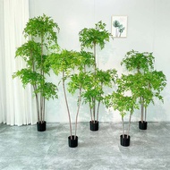 ต้นไผ่ญี่ปุ่น ต้นไม้ไผ่สวรรค์ ต้นไม้ปลอม ต้นไม้พลาสติกสวยๆ พร้อมส่งPlant-L(NTZ)