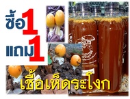 เชื้อเห็ดระโงก ซื้อ 1 ขวดแถม 1 ขวด