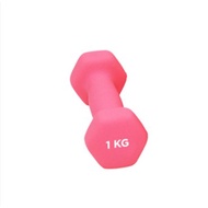 (JIJI.SG x FITNET) Neoprene Dumbbell / Neoprene / Cast Iron / Dumbbell / Perfect Shape / Weight Avai
