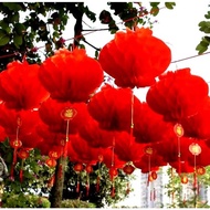 10Pcs Chinese New Year Paper Lantern Lantern Decoration / Chinese New Year Lantern / Plastic Lantern