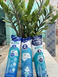 Karofi 123 Smax Pro V- Bộ lõi 123 Karofi Smax Pro V chính hãng - dùng cho máy Karofi U96 ....