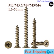 H68 Brass Phillips Countersunk Head Self-Tapping Screws Pure Copper Wood Screws All Copper Flat Head
