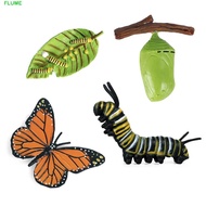 FLUME Growth Cycle Model Kids Toy For Kid Butterfly Growth Cycle Insect Animals Chicken Spider Actio
