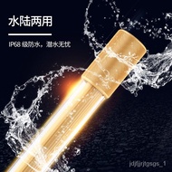 🚓Ma Yin Magic Lamp Arowana Special for Fish Tank Light BrighteningledLamp Lighting Diving Lamp Waterproof Dual-Mode Stra