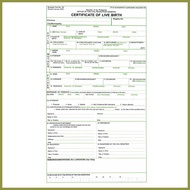 ▦ ❖ ❃ 2pcs Birth certificate Cheat sheet paper A4