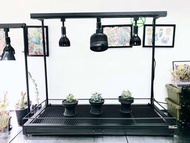 Milestone塊根植物架 套裝👍🏻L:120x50 cm 👍🏻連接水盆  ❤️‍🔥  ………………………………….. NO 白豪刺·白火焰· SAD ·凱撒·妖炎·立可白·清櫻·塊根植物·象牙宮·