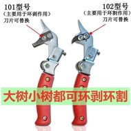 Candies Date Tree Apple Lychee Tree Fruit Tree Ring Cutter Pipa Pear Tree Adjustable Large Small Tre