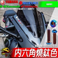 小阿魯GSX-R150風鏡150加高風鏡150R仿賽風鏡GSXR150高角度SUZUKI擋風罩 頭罩GSX150 圓頭風鏡螺絲組(燒鈦色6入) 1個