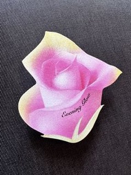 Tamburins Sample