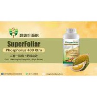 SNT SuperFoliar Phosphorus Acid 400Xtra [1L] for durian tree - cancer.