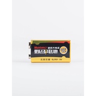 Mustang Battery Alkaline 9V 6LR61 Multimeter Infrared Thermometer Remote Control Toy Smoke Sensation