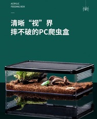 Reptile Tank Snake Spider Lizard Scorpion Horned Frog Gecko