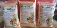 Pupuk super Boron +MgO 1kg