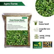 Agro Farm Cow Grass Seed / Biji Benih Rumput / Carpet Grass Seed