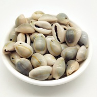 Fashion 10Pcs Gray Natural Shell Conch Loose Charm Pendant Beads For DIY Aeolian Bells Findings abou