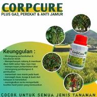 Harga GA CORP Terbaru Nov 2025 | BigGo Indonesia