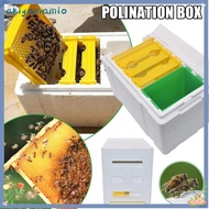 AKIYAMAMIO Beekeeper Garden Pollination Box, Waterproof Beekeeping Equipment Queen Bee Breeding Box,