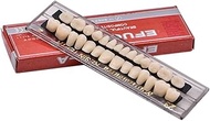 Impressive Smile Dental Acrylic Resin Denture Teeth Synthetic Polymer Tooth Kit Upper + Lower for De