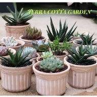 Italy Made Terra Cotta Pot/ Ceramic Pots for cacti,succulents, flowers/deliver from Cameron Highlands/高档意大利陶瓷花盆