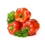 20pcs/pack Benih Cili Pelangi Bonsai Rainbow Chili Pepper Seeds - Hybrid Rare Pepper Seeds for Plant