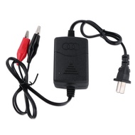 12v Charger Electric Car Charger ABS Car Charger PN18