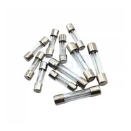10PCS 5X20 6X30MM Threaded glass fuse tube with environmentally friendly coarse winding wire Slow FU