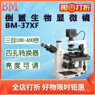【TikTok】#BM彼爱姆平板电脑型倒置生物显微镜BM-37XFD 37XFP三目100～400倍