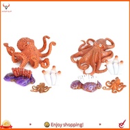 【pwlydc1g】Octopus Growth Cycle,Animal Growth Cycle Biological Model for Kids Education Insect Themed