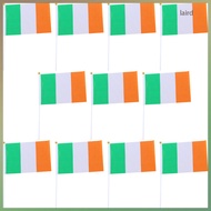 20pcs Handheld Ireland National Flags Patriotic Flags Mini Ireland National Flags  laird