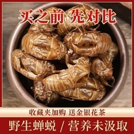 Straw Straw herbal medicine cicada skin cicada skin Dabie Mounta Chinese herbal medicine Cicada Skin