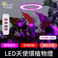 Jig &amp; Kit - LED植物生長燈丨全光譜智能花卉室內蔬菜補光燈丨植物燈育苗5V種植USB 丨一頭 紅藍光（8109）