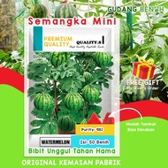 Semangka Mini Watermelon Biji Unggul Tahan Hama Isi 50 Benih Bibit Buah Semangka