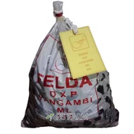 เมล็ดพันธุ์ปาล์มน้ำมัน ยังกัมบิ ML161 เมล็ดละ 10 บาท จำนวน 200 เมล็ด พร้อมใบรับรองสายพันธุ์แท้ 💯