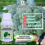 Pupuk Brokoli Berkualitas Pupuk Penyubur Brokoli Pupuk Brokoli Cepat Besar Pupuk Brokoli Putih Ungu