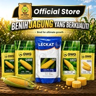 LECKAT/GWG (592 907 908 399 9966 927)JAGUNG MANIS 500G F1 BIJI BENIH/SWEET CORN SEED G9966 G909 G907