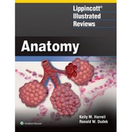 Lippincotts Illustrated Reviews: Anatomy
