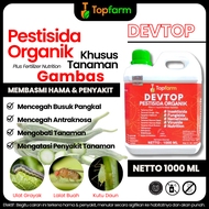 Obat Pembasmi Hama Buah Oyong / Obat Pembasmi Hama Tanaman / Obat Hama Pada Gambas / Obat Lalat Buah