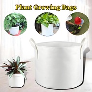 1-5 Gallon Big Plant Flower Grow Bag Pot Home Garden Potato Strawberry Fabric Vegetable Jardin Gard
