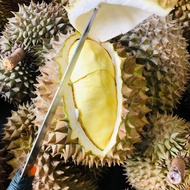 Durian Utuh Montong Palu Parigi 8kg x 75rb