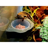 Reptile Magnetic feeding dish Feeder insect bowl crested gecko food dish chameleon food basin strong