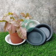 MidoriePlant - Felton Round Pot Saucer 2527
