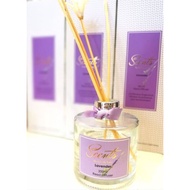 SCENTS REED DIFFUSER (200ML) by Lovely Lace PS | Teddy's Hug