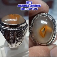 Solomon stone ring combong pitcher plant