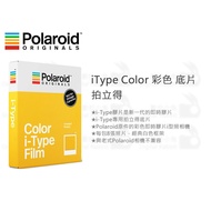 Digital Bunny [Polaroid iType Color Polaroid Film]