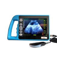 Portable veterinary cattle ultrasound 3.5MHZ convex array probe scanning ultrasound diagnostic instr