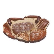 [雙螯漂亮] 2隻 大眼蟹 / 螃蟹 化石~~全新世，廣東陽江，細節明顯漂亮